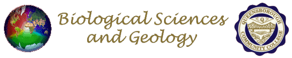 Department of
        Biological Sciences and Geology Roland Scal